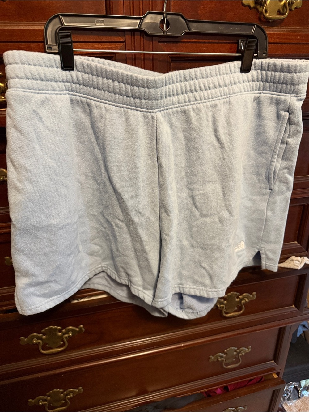 The North Face Pale Blue Fleece Athletic Shorts